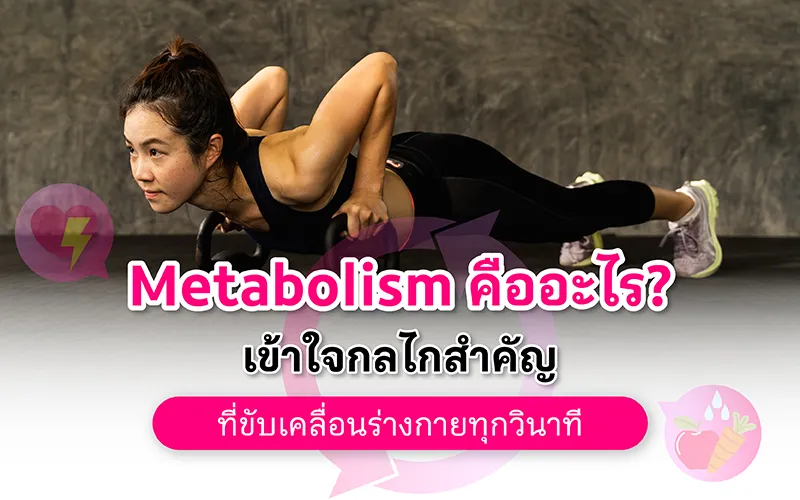 Metabolism คืออะไร  เข้าใจกลไกสำคัญที่ขับเคลื่อนร่างกายทุกวินาที 02